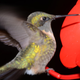 Image for article titled Complementary Colors 2